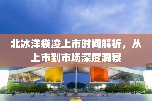北冰洋袋凌上市時(shí)間解析，從上市到市場深度洞察