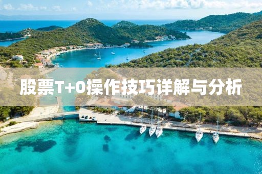 股票T+0操作技巧詳解與分析