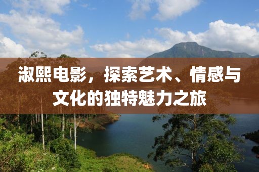 淑熙電影，探索藝術(shù)、情感與文化的獨特魅力之旅