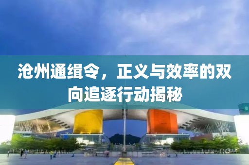 越戰(zhàn)越勇最新一期評(píng)委陣容深度解析及探討