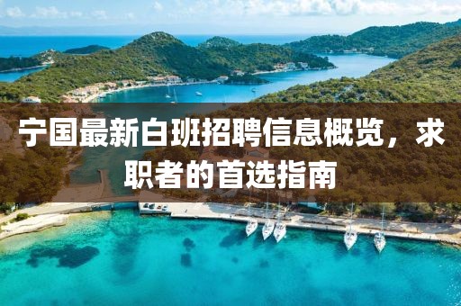 王茜華主演電視劇概覽，作品全收錄