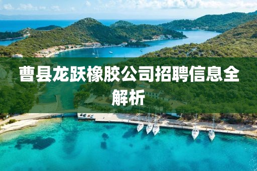 曹縣龍躍橡膠公司招聘信息全解析