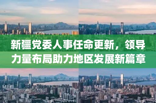 新疆黨委人事任命更新，領(lǐng)導力量布局助力地區(qū)發(fā)展新篇章