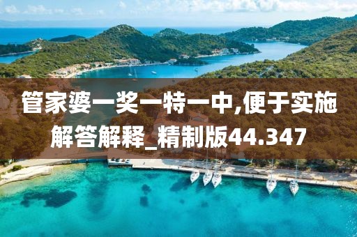 管家婆一獎一特一中,便于實施解答解釋_精制版44.347