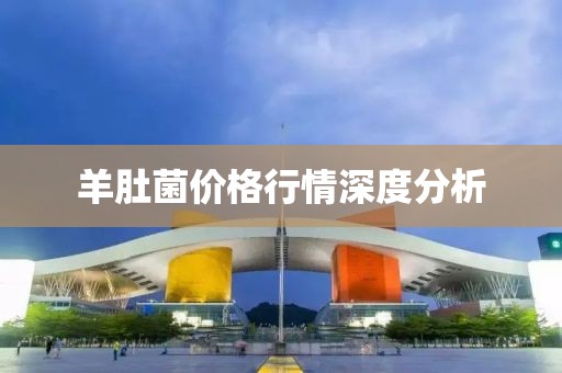 羊肚菌價格行情深度分析
