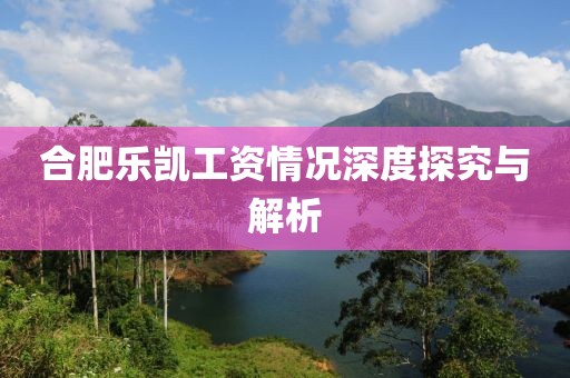 合肥樂凱工資情況深度探究與解析