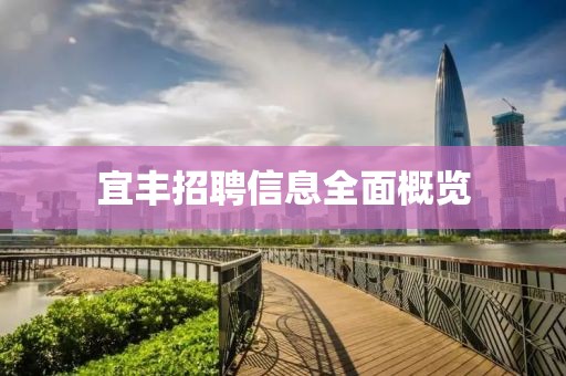 宜豐招聘信息全面概覽