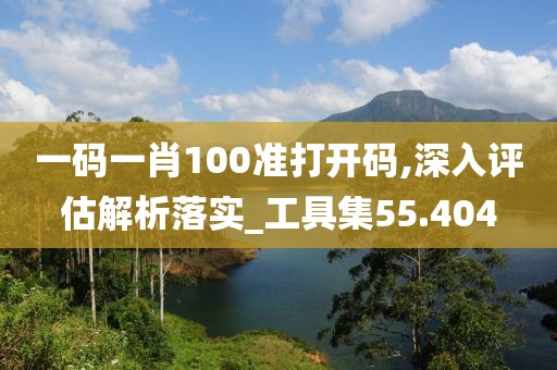 一碼一肖100準(zhǔn)打開碼,深入評估解析落實(shí)_工具集55.404