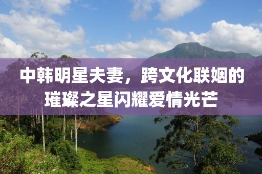 中韓明星夫妻，跨文化聯(lián)姻的璀璨之星閃耀愛情光芒