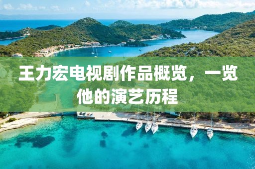 王力宏電視劇作品概覽，一覽他的演藝歷程