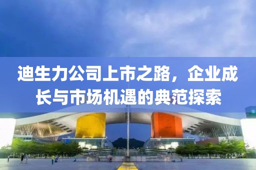 迪生力公司上市之路，企業(yè)成長與市場機遇的典范探索