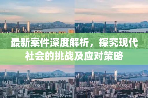 最新案件深度解析，探究現(xiàn)代社會(huì)的挑戰(zhàn)及應(yīng)對(duì)策略