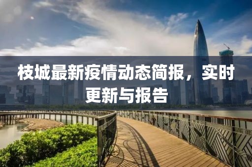 枝城最新疫情動態(tài)簡報，實時更新與報告