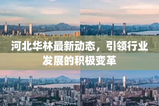 河北華林最新動(dòng)態(tài)，引領(lǐng)行業(yè)發(fā)展的積極變革