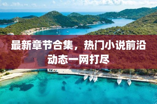 最新章節(jié)合集，熱門小說(shuō)前沿動(dòng)態(tài)一網(wǎng)打盡