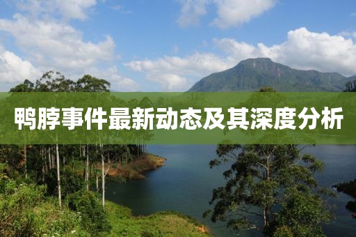鴨脖事件最新動(dòng)態(tài)及其深度分析