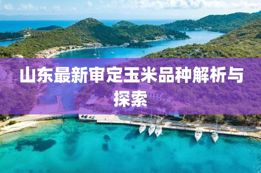 最新展示技術(shù)重塑行業(yè)未來，引領(lǐng)展示新潮流