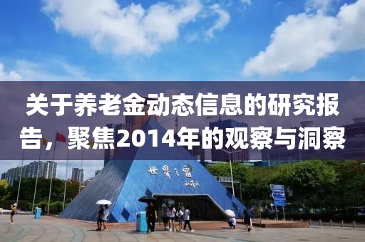 關(guān)于養(yǎng)老金動態(tài)信息的研究報告，聚焦2014年的觀察與洞察