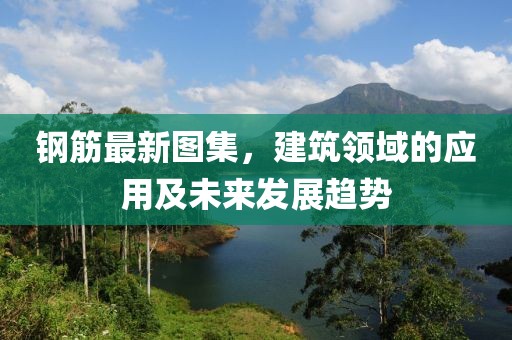 鋼筋最新圖集，建筑領域的應用及未來發(fā)展趨勢