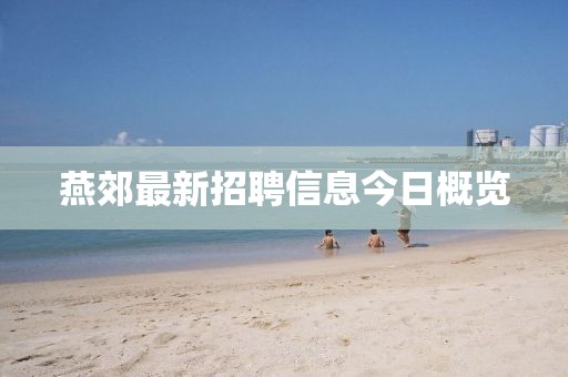 燕郊最新招聘信息今日概覽