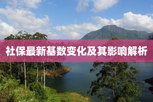 社保最新基數(shù)變化及其影響解析