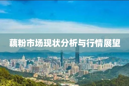 藕粉市場現(xiàn)狀分析與行情展望