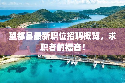 望都縣最新職位招聘概覽，求職者的福音！