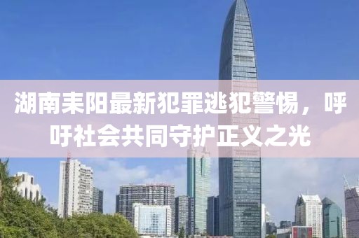 電影免費(fèi)觀看，探索影視娛樂(lè)新時(shí)代的無(wú)限可能