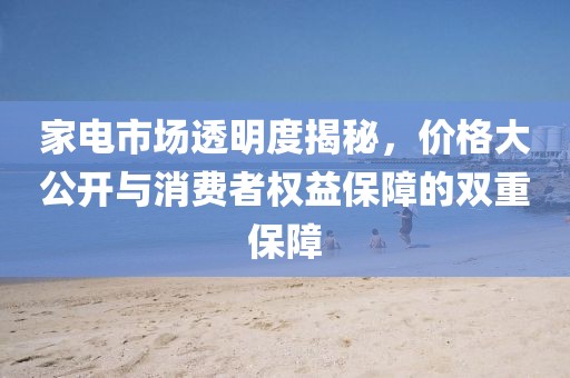 家電市場透明度揭秘，價格大公開與消費者權益保障的雙重保障