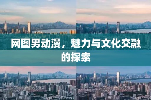 網(wǎng)圖男動漫，魅力與文化交融的探索