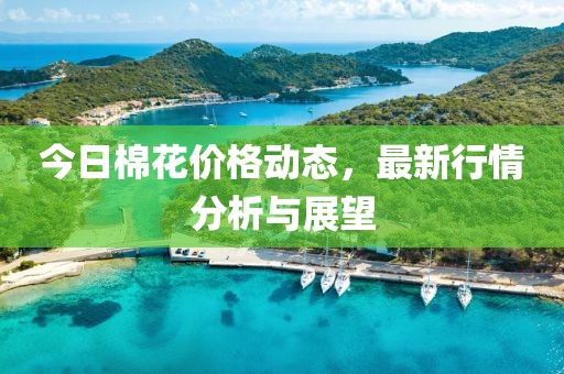 今日棉花價(jià)格動(dòng)態(tài)，最新行情分析與展望
