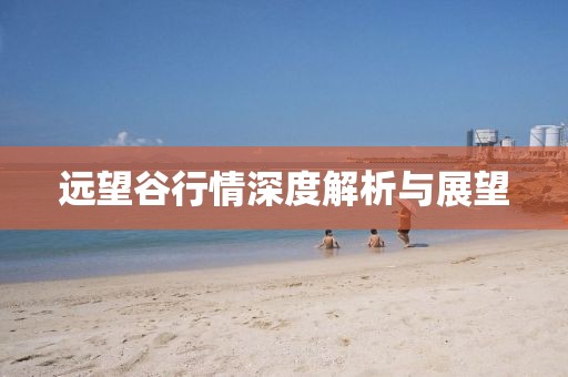 遠(yuǎn)望谷行情深度解析與展望