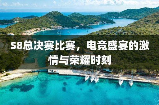 S8總決賽比賽，電競(jìng)盛宴的激情與榮耀時(shí)刻