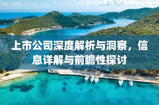 上市公司深度解析與洞察，信息詳解與前瞻性探討