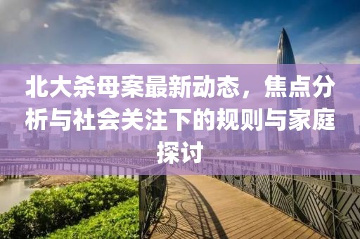 北大殺母案最新動(dòng)態(tài)，焦點(diǎn)分析與社會(huì)關(guān)注下的規(guī)則與家庭探討