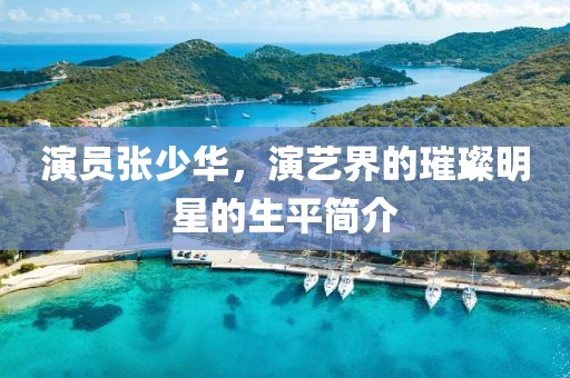 演員張少華，演藝界的璀璨明星的生平簡介