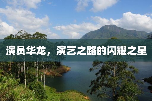 演員華龍，演藝之路的閃耀之星