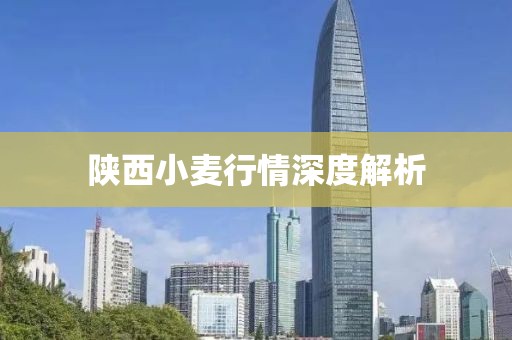 陜西小麥行情深度解析