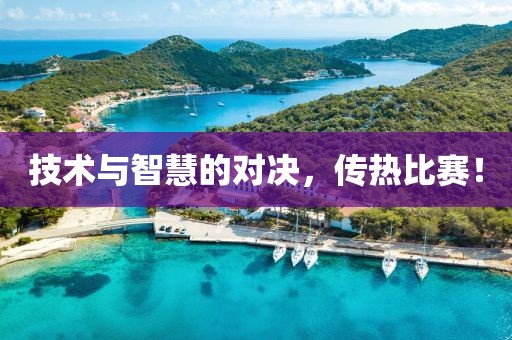 技術(shù)與智慧的對(duì)決，傳熱比賽！