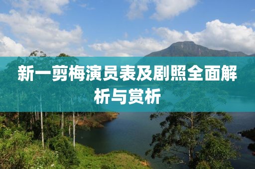 新一剪梅演員表及劇照全面解析與賞析