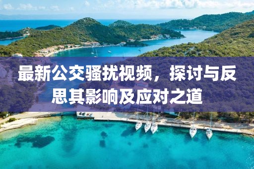 最新公交騷擾視頻，探討與反思其影響及應對之道
