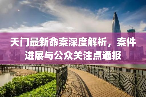 天門最新命案深度解析，案件進(jìn)展與公眾關(guān)注點(diǎn)通報(bào)