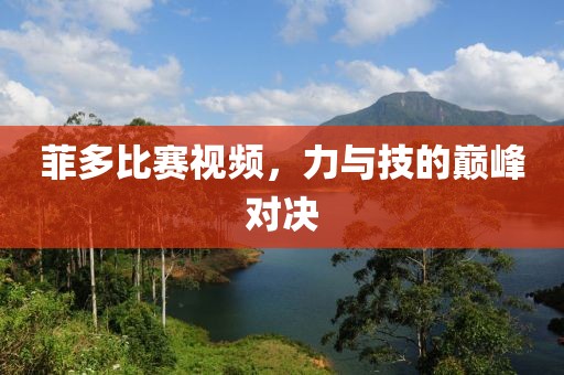 菲多比賽視頻，力與技的巔峰對決