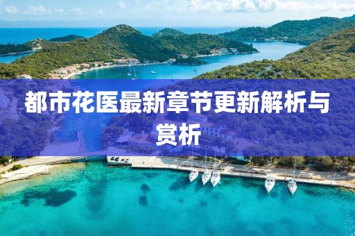 都市花醫(yī)最新章節(jié)更新解析與賞析