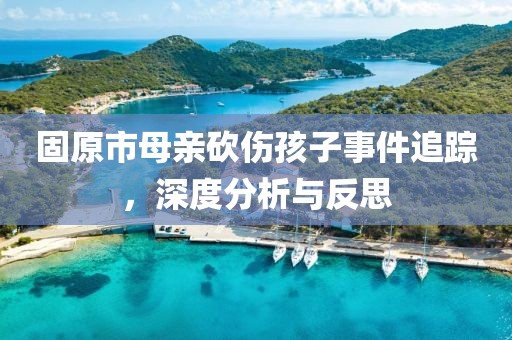 固原市母親砍傷孩子事件追蹤，深度分析與反思