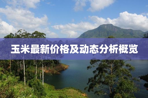 玉米最新價(jià)格及動(dòng)態(tài)分析概覽