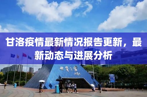 甘洛疫情最新情況報(bào)告更新，最新動(dòng)態(tài)與進(jìn)展分析