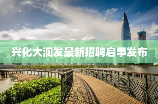 王者榮耀趙云新視頻深度解析，技能、戰(zhàn)術(shù)與游戲策略探討