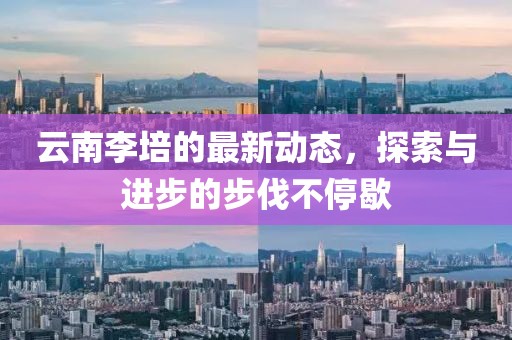 澳門資料大全 第12頁