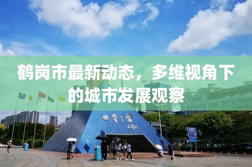 鶴崗市最新動態(tài)，多維視角下的城市發(fā)展觀察